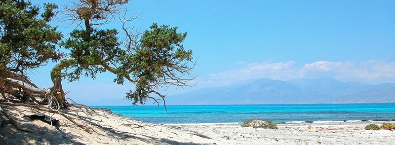 Η νήσος Χρυσή με τα τυρκουάζ νερά και τη λευκόχρυση άμμο