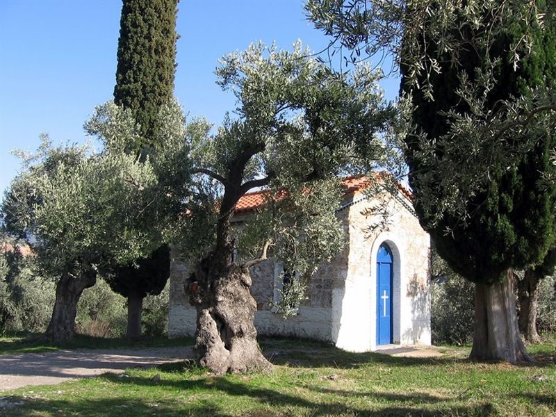 Hike Delphi to Ancient Port of Kirra